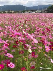 Hirahara Historical Park