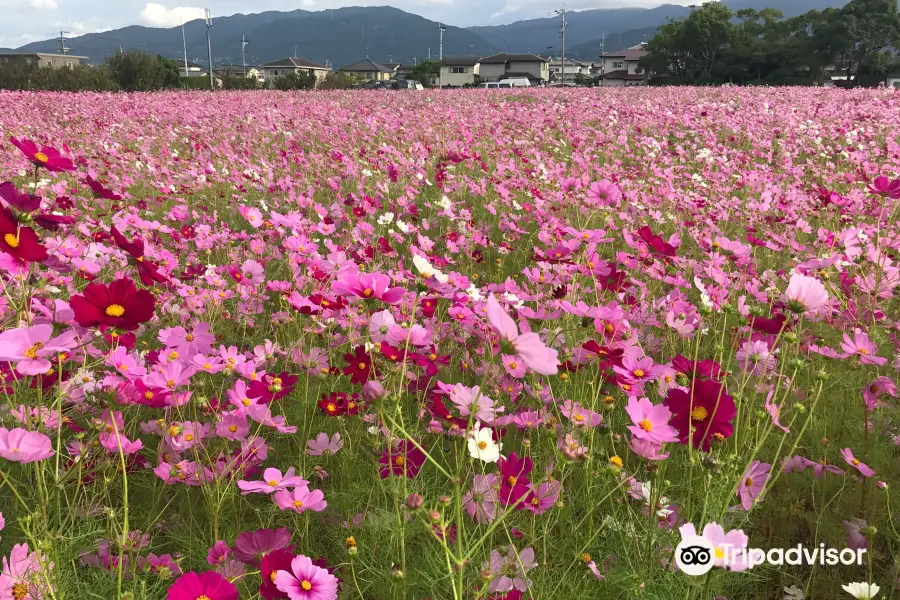 Hirahara Historical Park