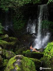 Nationalpark Phu Hin Rong Kla