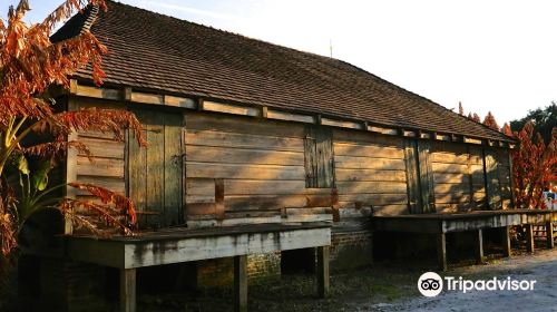 Whitney Plantation