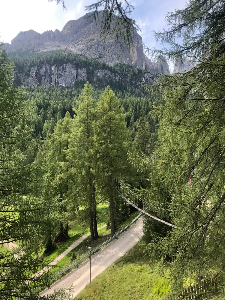 Hotels near Adventure Park Calfosch