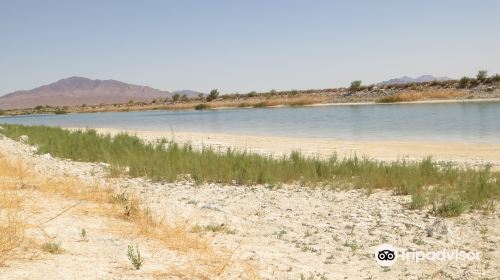 Ash Meadows National Wildlife Refuge