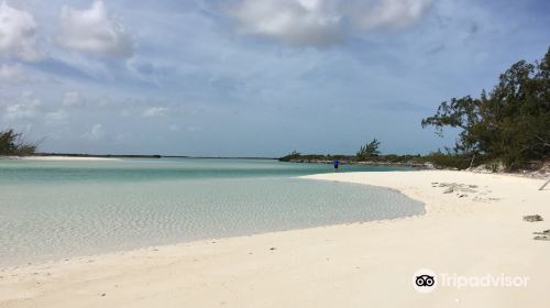 Wild Cow Run Beach