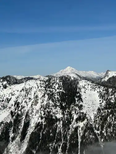 Element Properties in King County