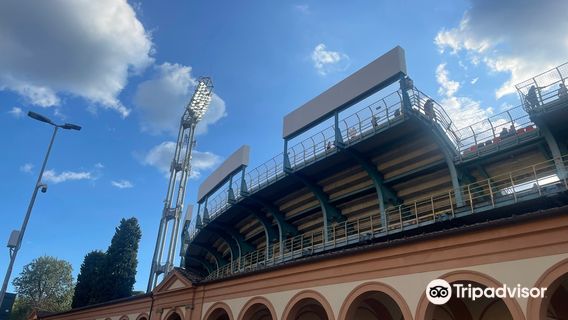Renato Dall’Ara stadium