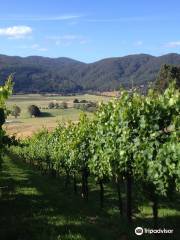 Leven Valley Vineyard