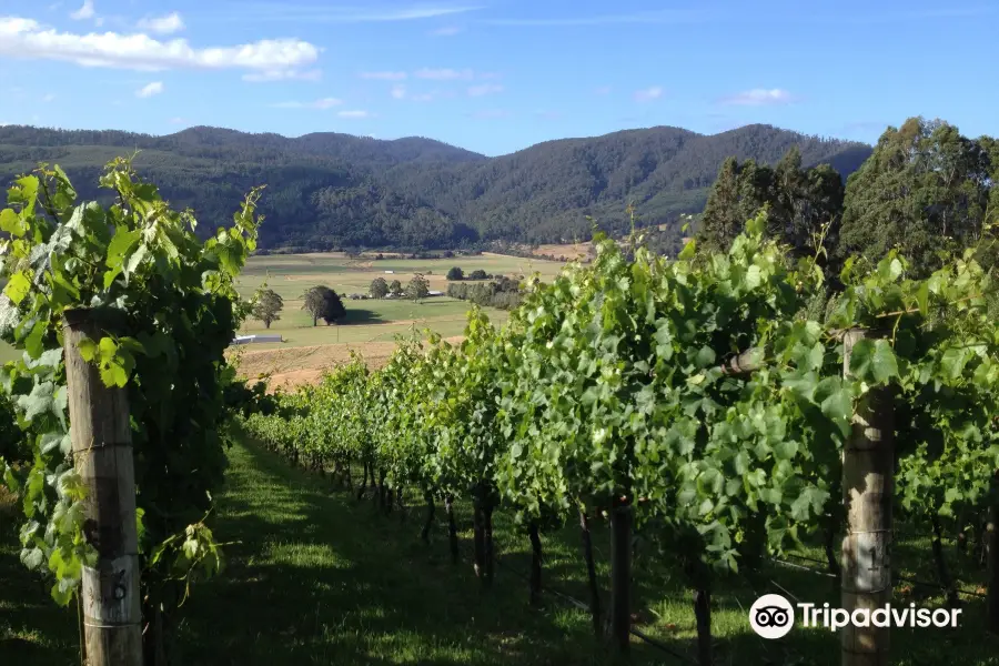 Leven Valley Vineyard