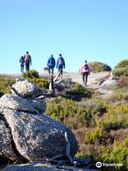 Sentir Serra da Estrela