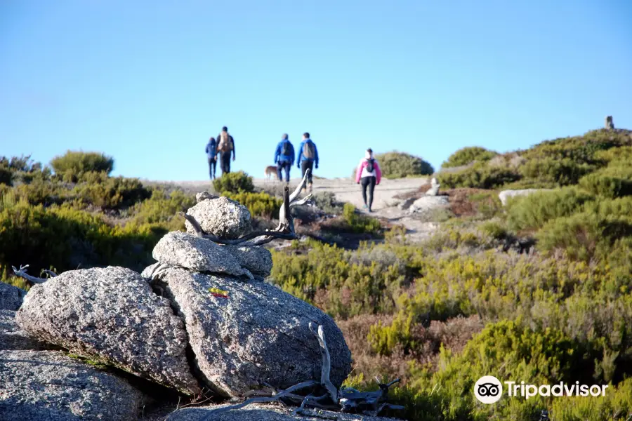 Sentir Serra da Estrela