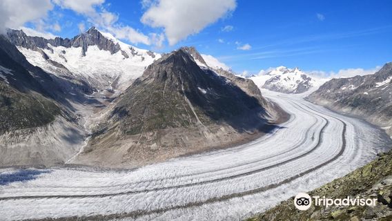 Fiesch-Eggishorn