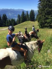 Séez'à cheval, les balades du Mont