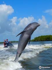 Capt Ron’s Awesome Everglades Adventures