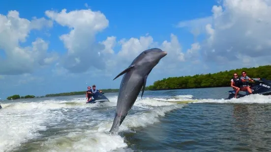 Capt Ron’s Awesome Everglades Adventures