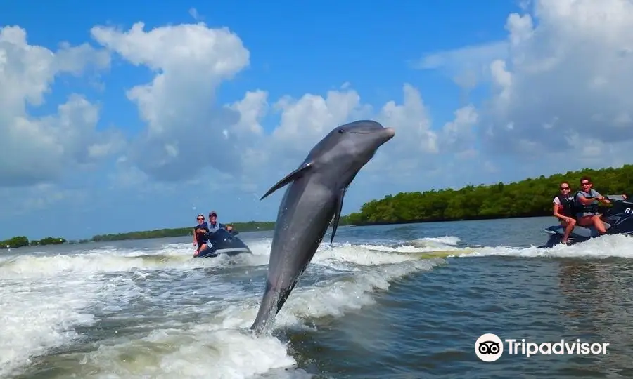 Capt Ron’s Awesome Everglades Adventures