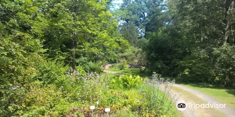 Forstbotanischer Garten