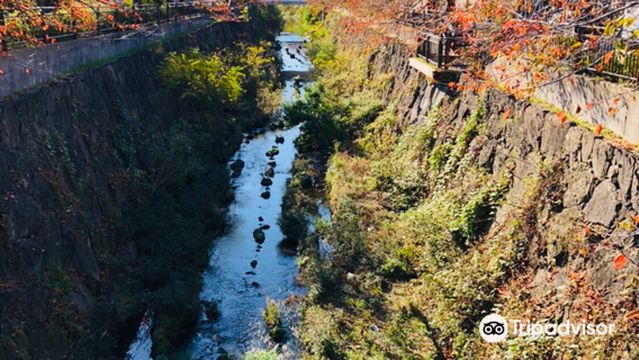 Fall Foliage Sightseeing in Nagoya