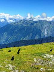 Chaukhamba Viewpoint