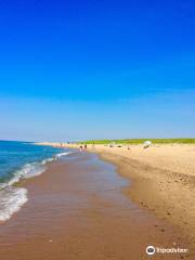 Race Point Beach