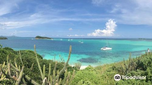 Tobago Cays