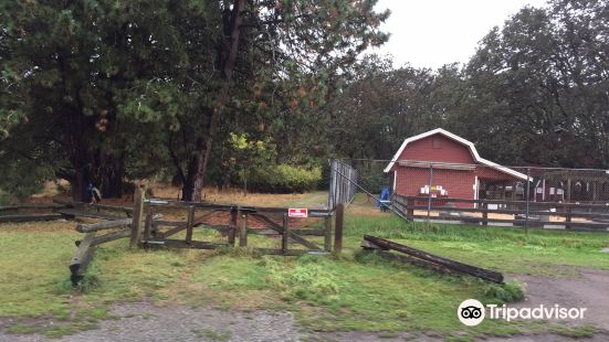 Beacon Hill Children's Farm