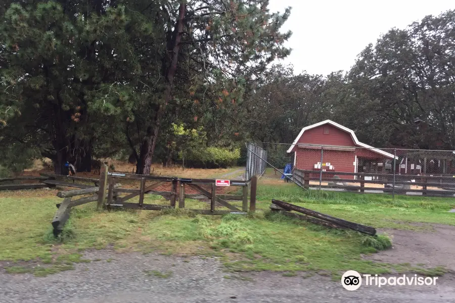 Beacon Hill Children's Farm