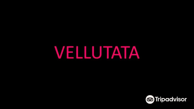 Vellutata