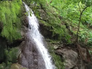 Gaumukh Waterfalls