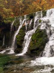 Izvir Bohinjske Bistrice