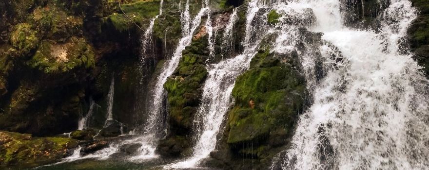 Izvir Bohinjske Bistrice
