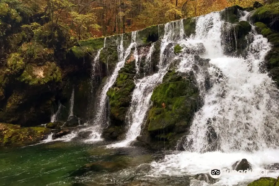 Izvir Bohinjske Bistrice