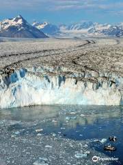 Lu Lu Belle Glacier Wildlife Cruises