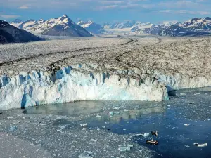 Lu-Lu Belle Glacier Wildlife Cruises