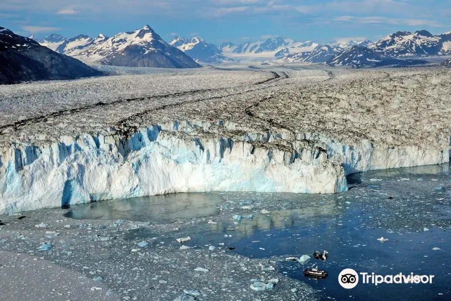 Lu-Lu Belle Glacier Wildlife Cruises