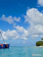 Jammin Catamaran Cruises