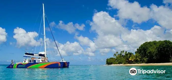 Jammin Catamaran Cruises