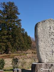 Sugisawa Giant Cedar Tree