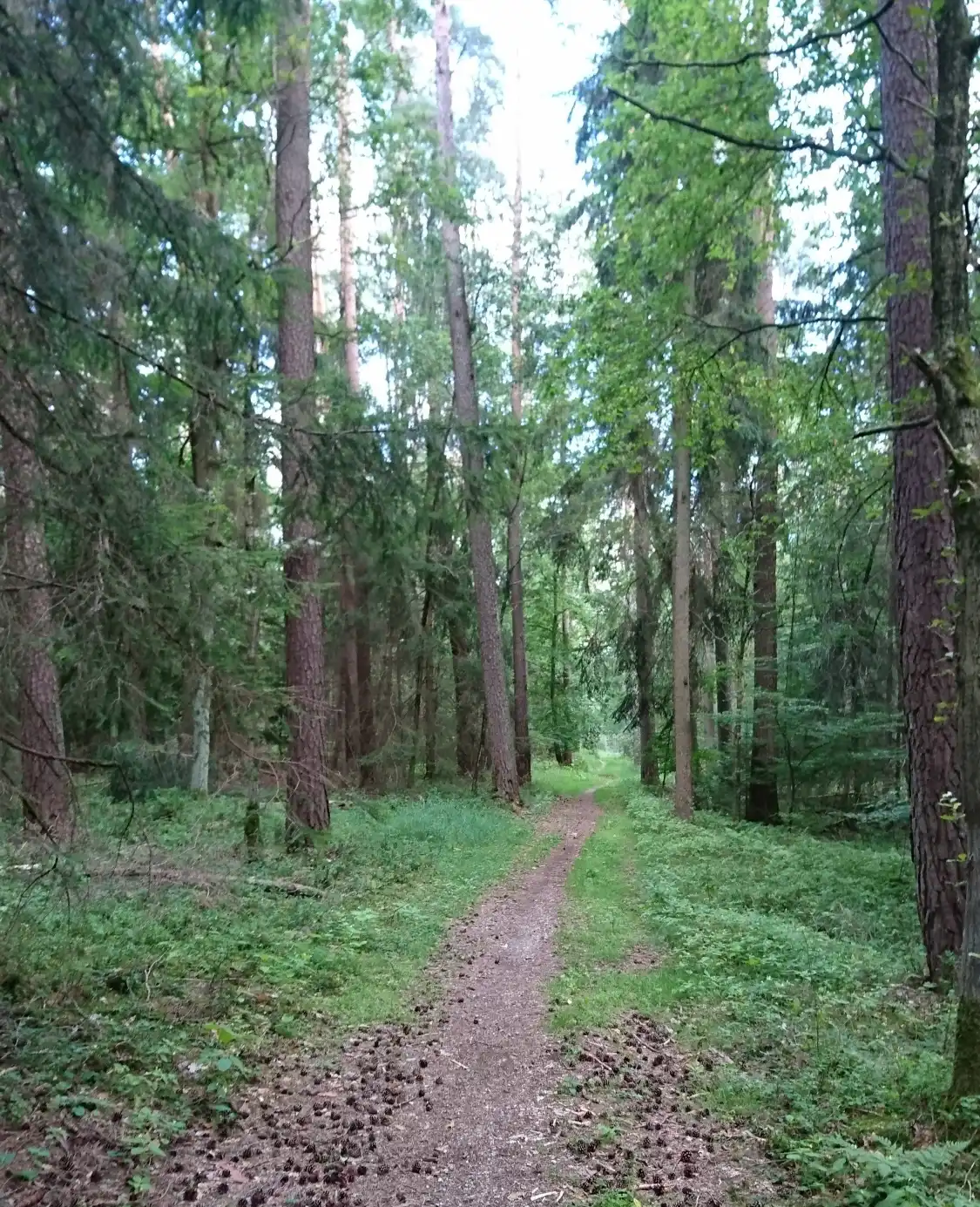 Hotels near Trimm-dich Pfad