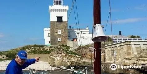 Puffin Cruises