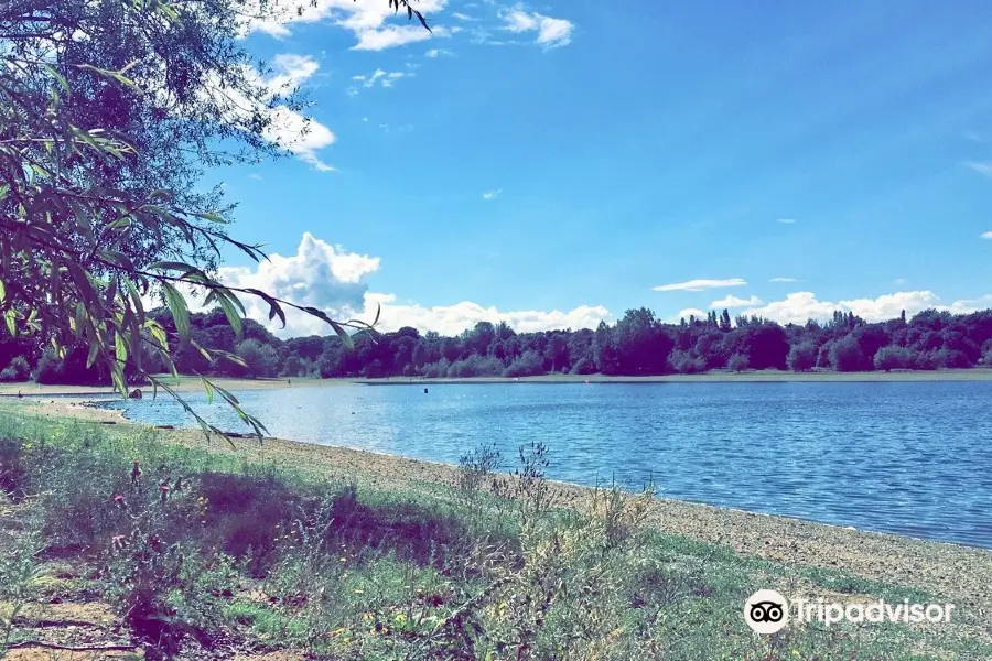 Edgbaston Reservoir