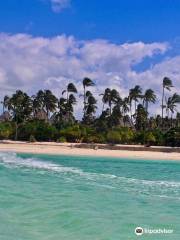 Swell Kiteschool Zanzibar