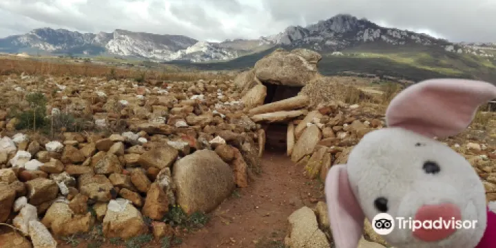 Los Llanos Trikuharria