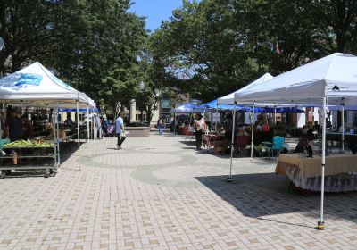 McLevy Green