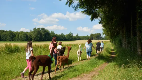 Alpakas & Lamas vom Pointnerhof