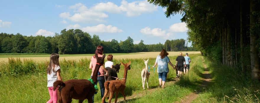 Alpakas & Lamas vom Pointnerhof