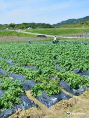 Tondabayashi Agricultural Park - Savor Farm