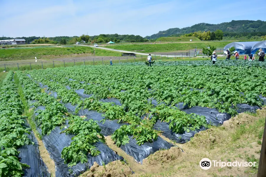 富田林市農業公園サバーファーム