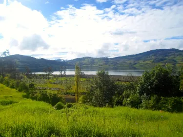 Bongará Province