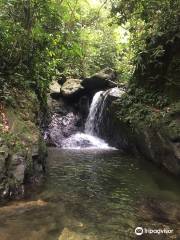 Jungle Trekking Sumatra