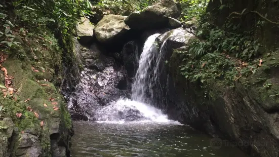 Jungle Trekking Sumatra