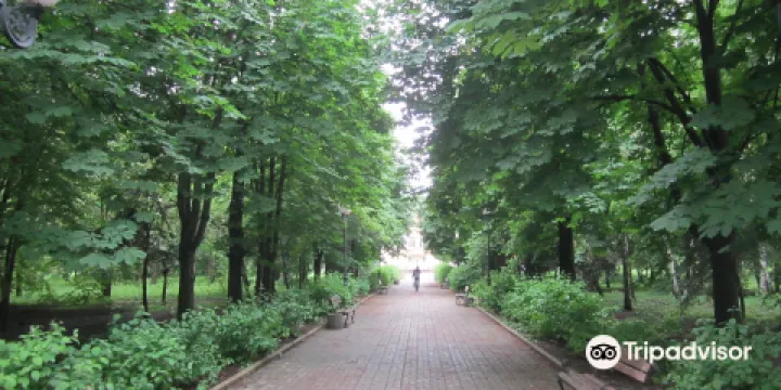 Central City Park Named After Vasiliy Dzharty